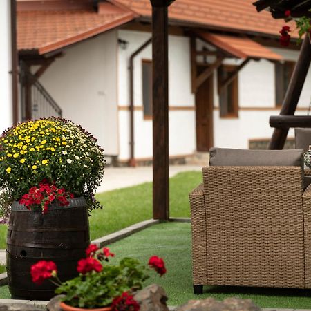 Hotel Magda Garden à Cîrţişoara Extérieur photo