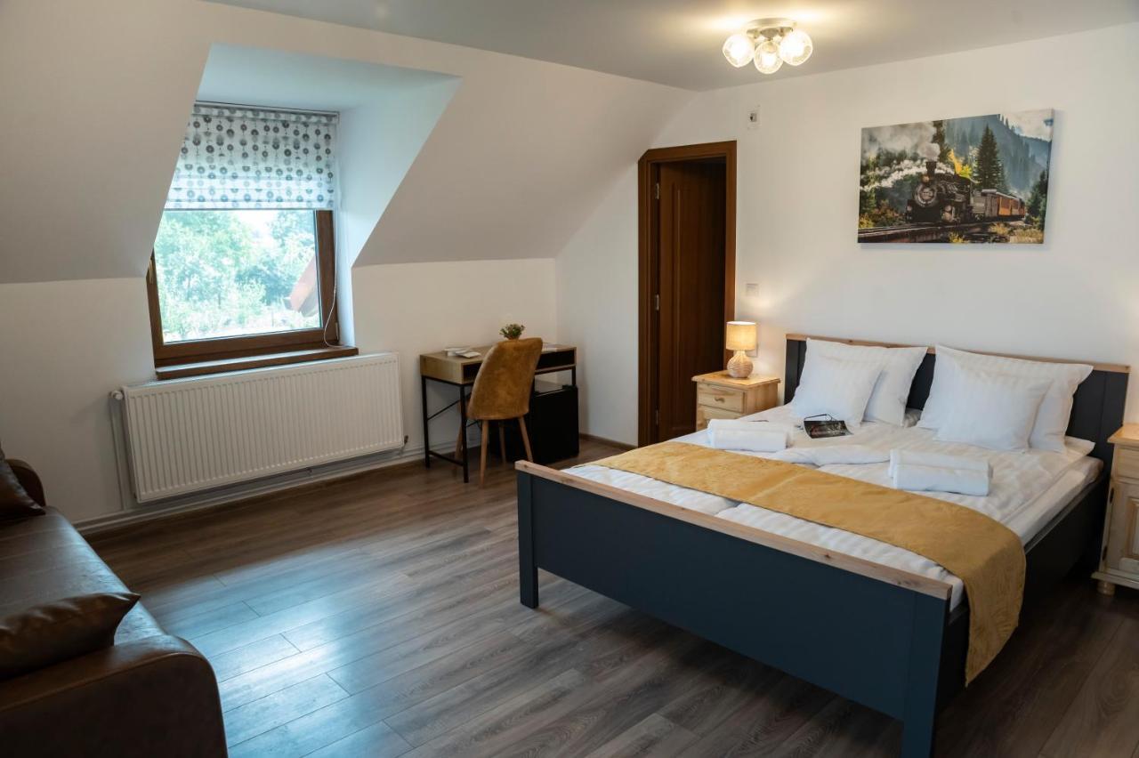 Hotel Magda Garden à Cîrţişoara Extérieur photo