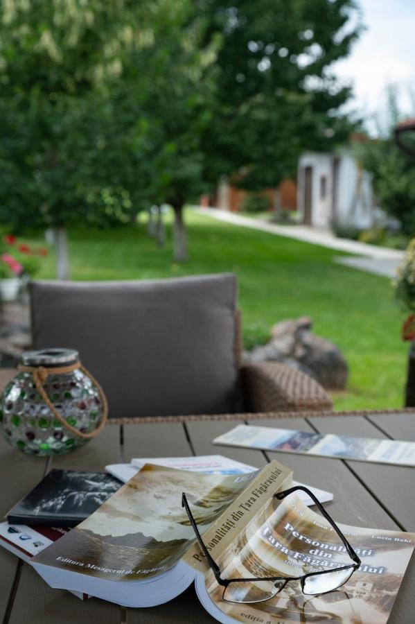 Hotel Magda Garden à Cîrţişoara Extérieur photo