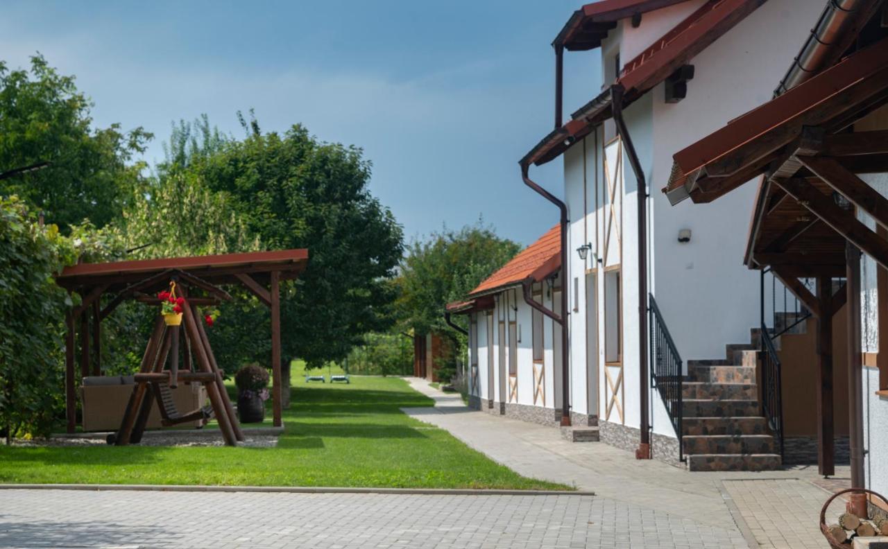 Hotel Magda Garden à Cîrţişoara Extérieur photo