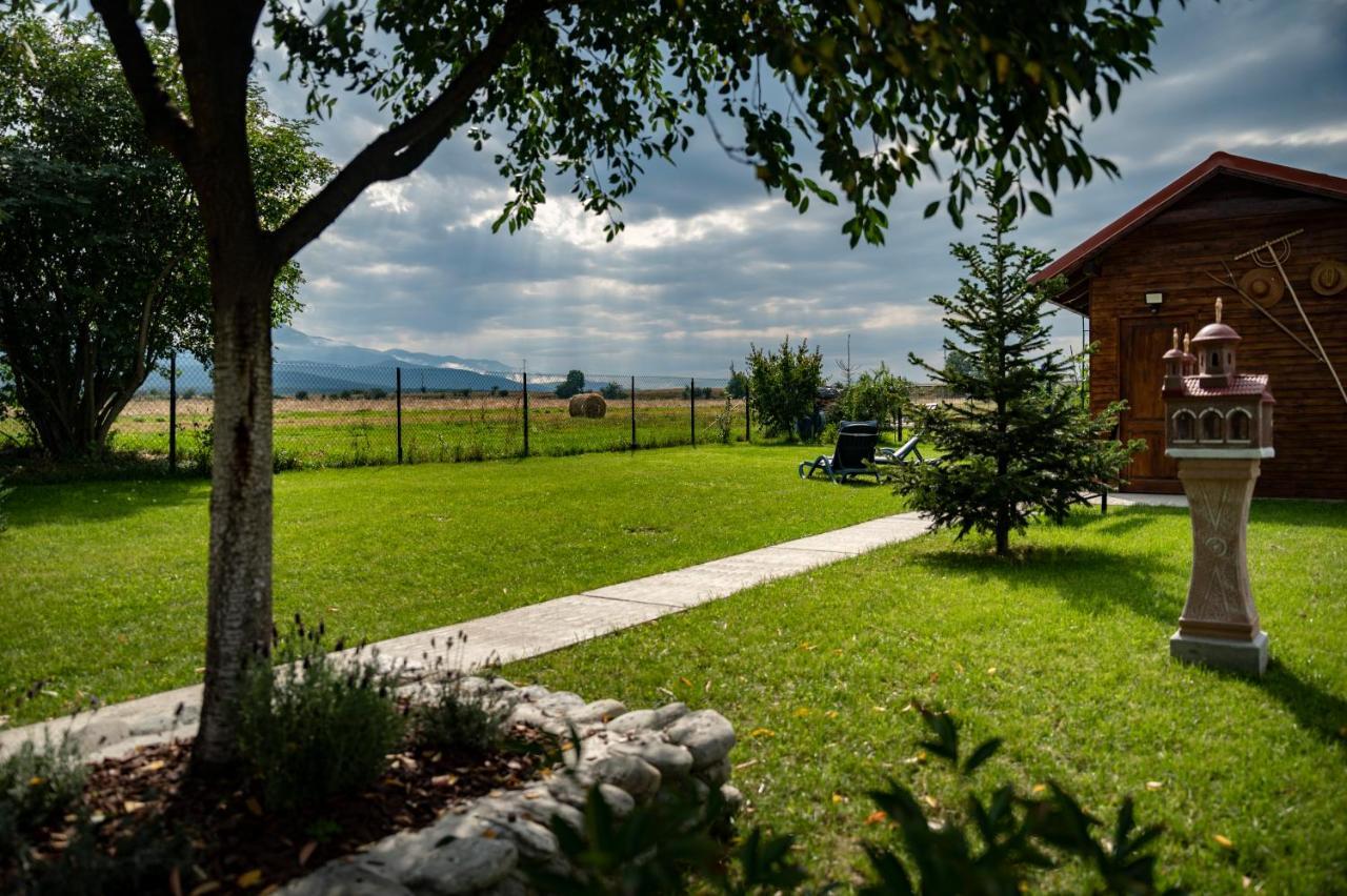 Hotel Magda Garden à Cîrţişoara Extérieur photo