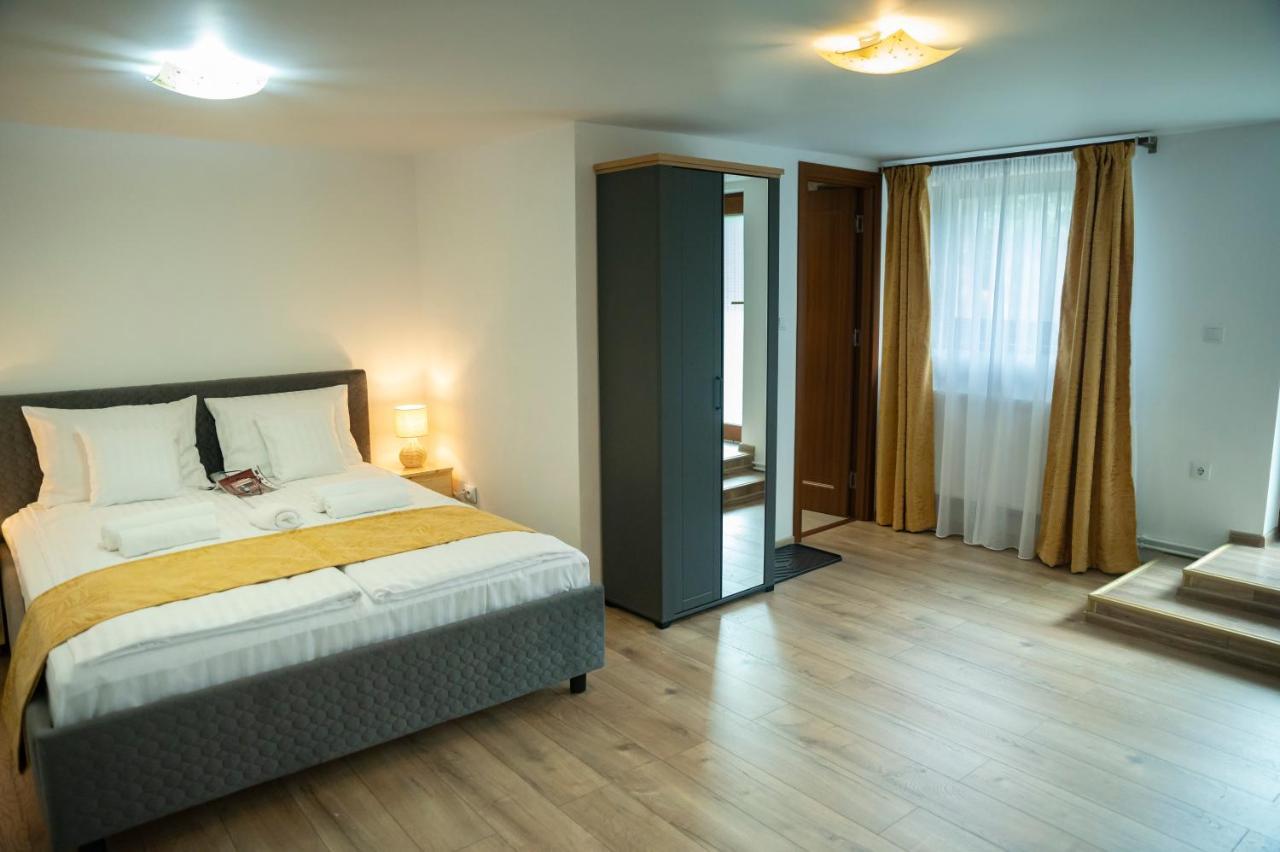 Hotel Magda Garden à Cîrţişoara Extérieur photo