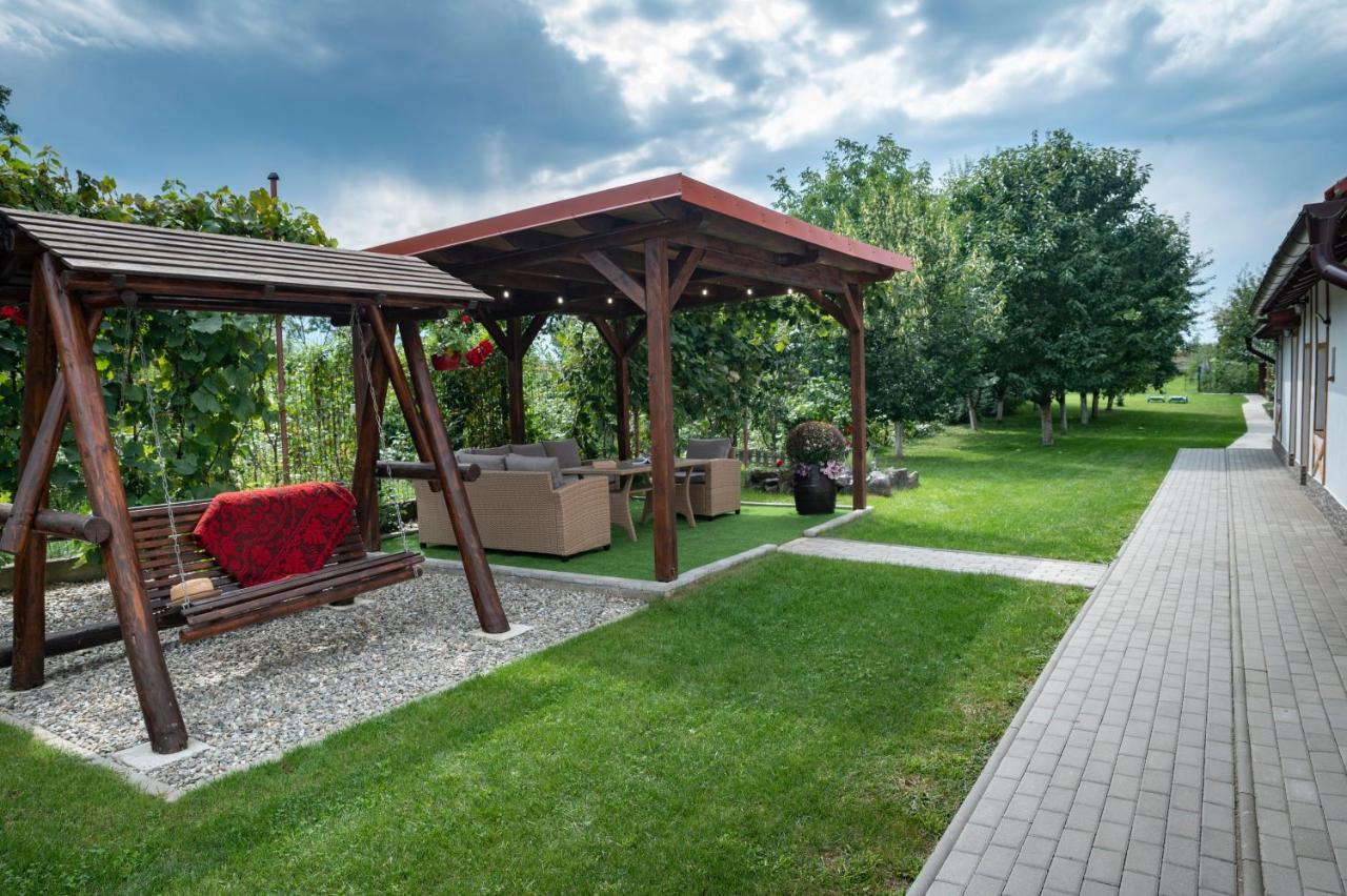 Hotel Magda Garden à Cîrţişoara Extérieur photo