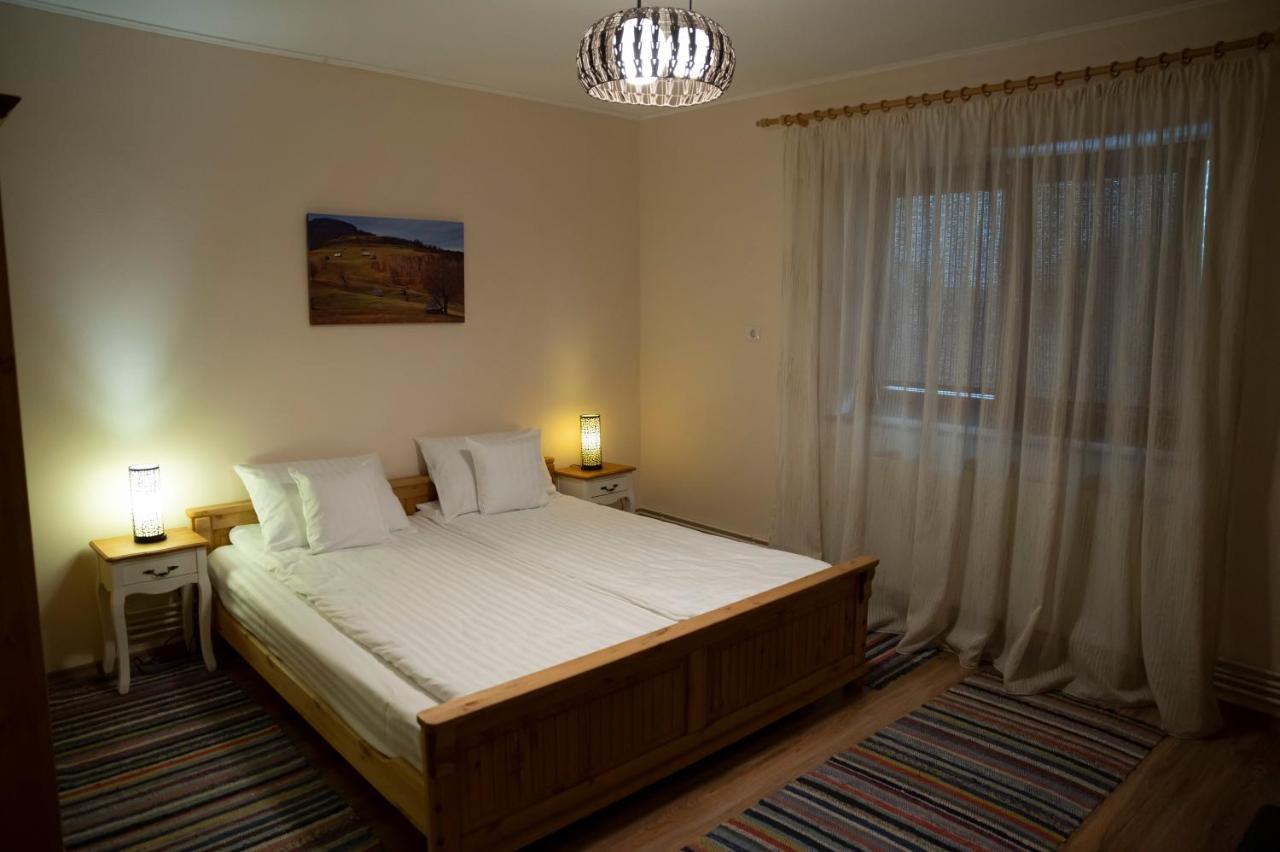 Hotel Magda Garden à Cîrţişoara Extérieur photo