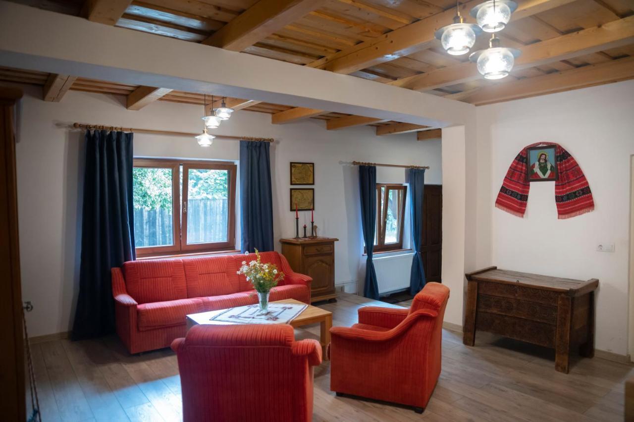 Hotel Magda Garden à Cîrţişoara Extérieur photo
