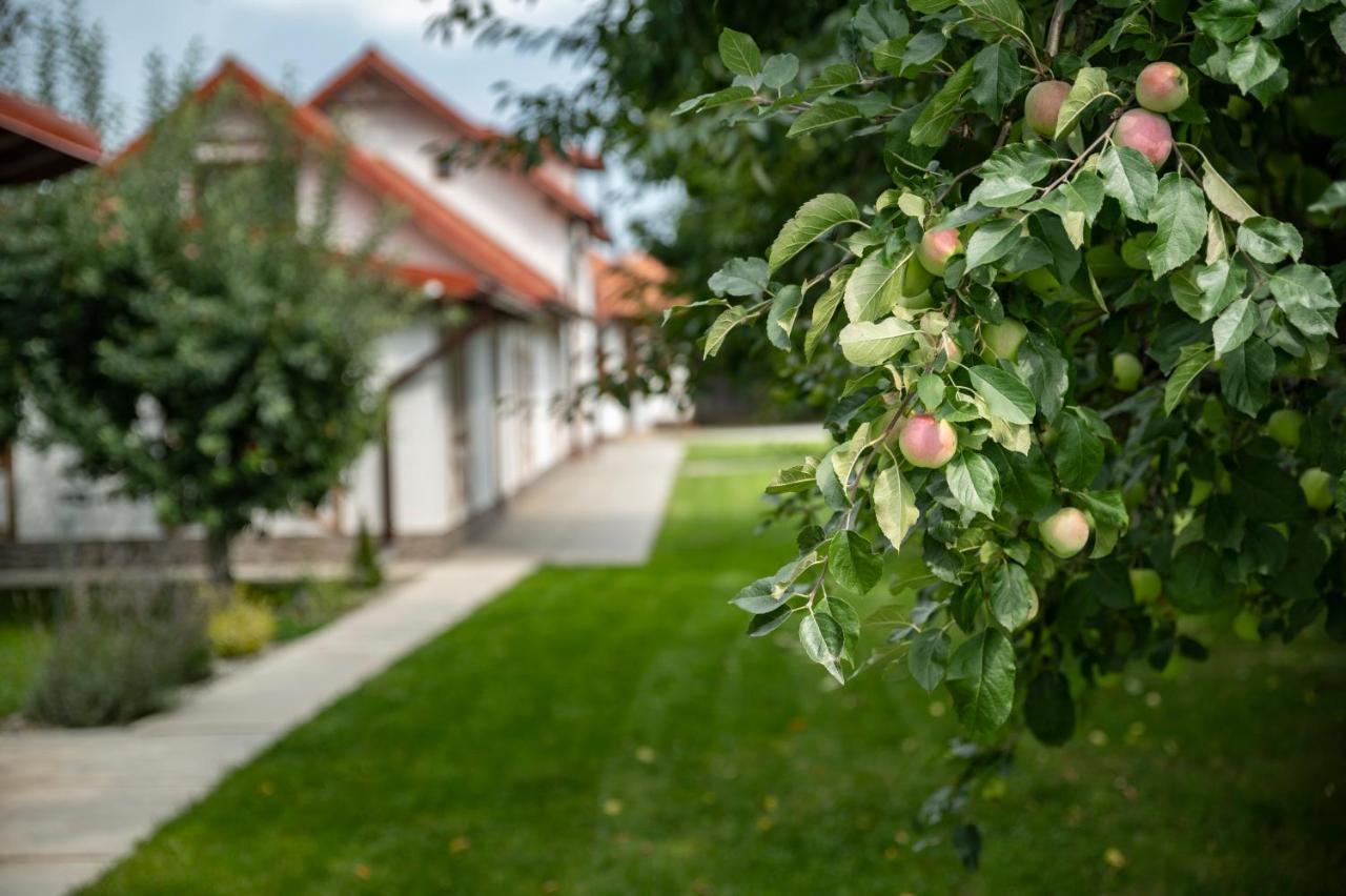 Hotel Magda Garden à Cîrţişoara Extérieur photo