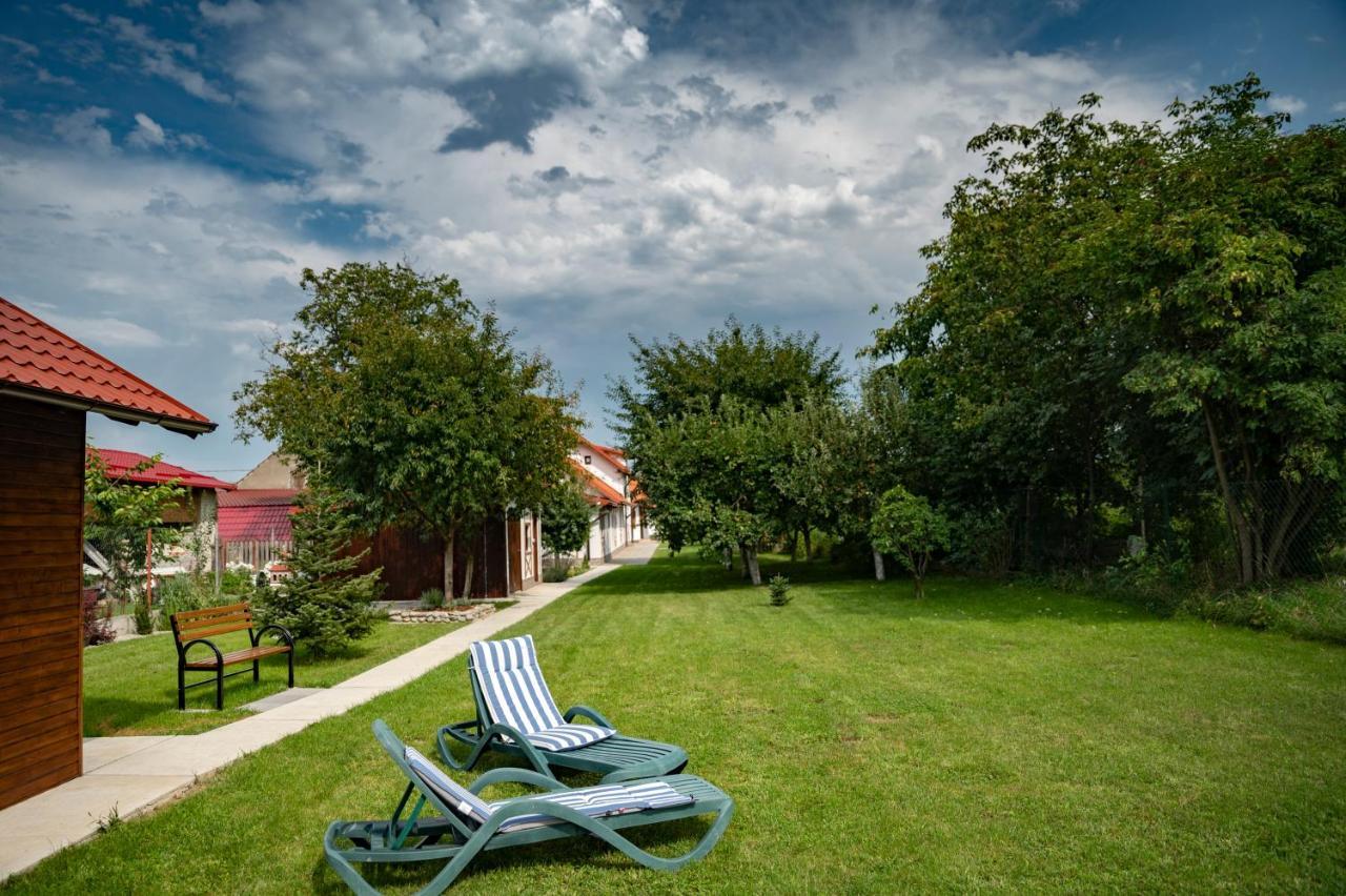 Hotel Magda Garden à Cîrţişoara Extérieur photo