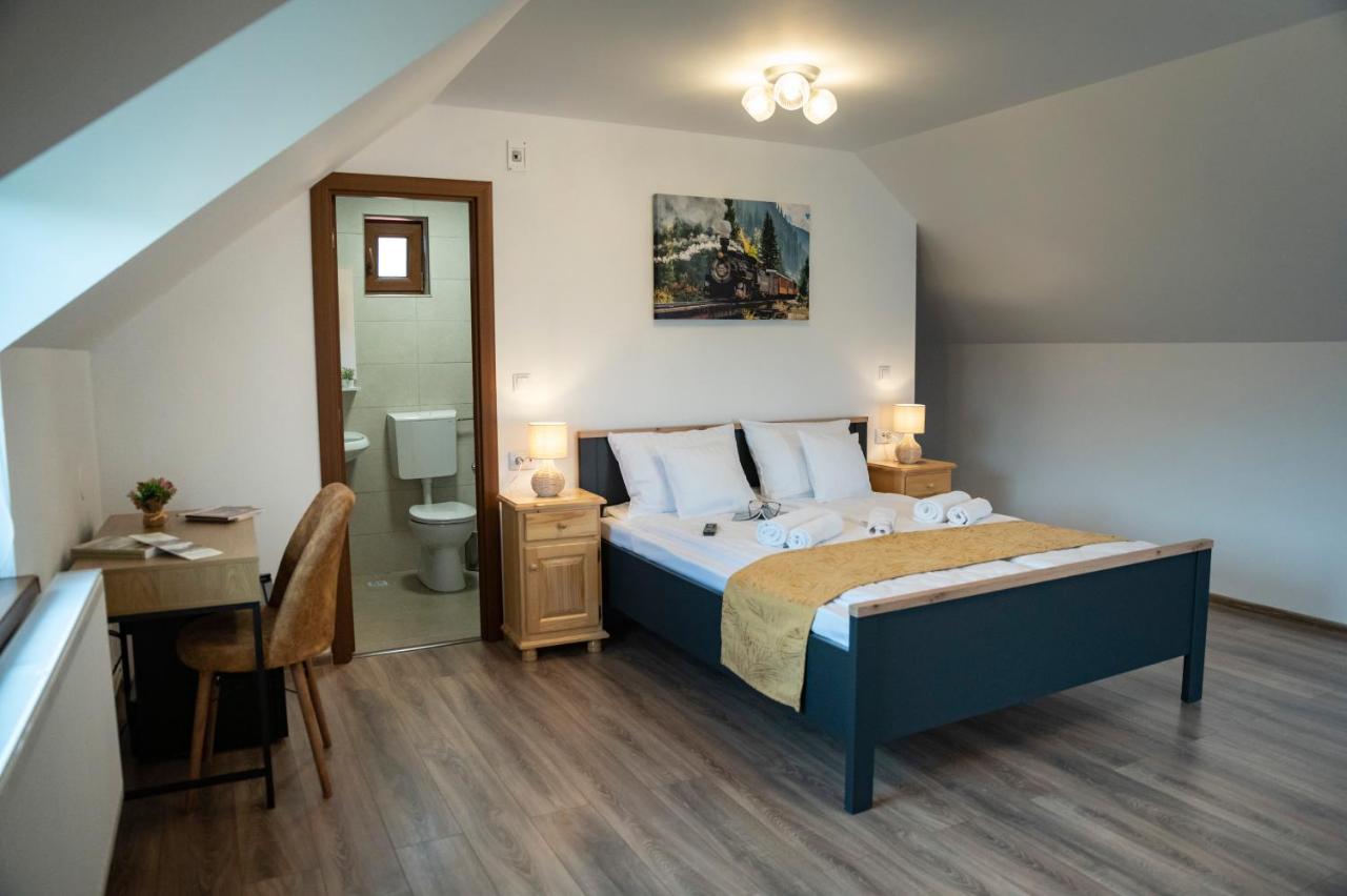Hotel Magda Garden à Cîrţişoara Extérieur photo