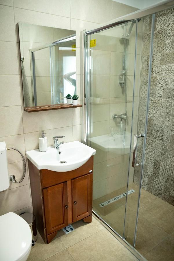Hotel Magda Garden à Cîrţişoara Extérieur photo