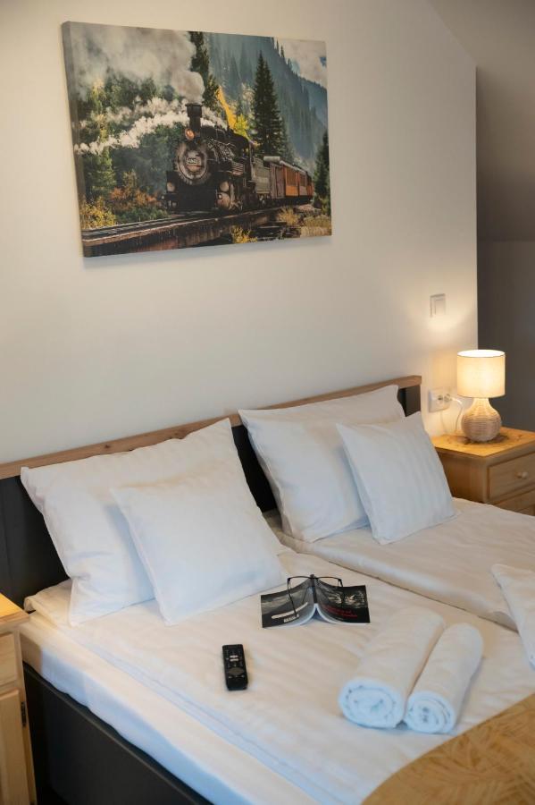 Hotel Magda Garden à Cîrţişoara Extérieur photo