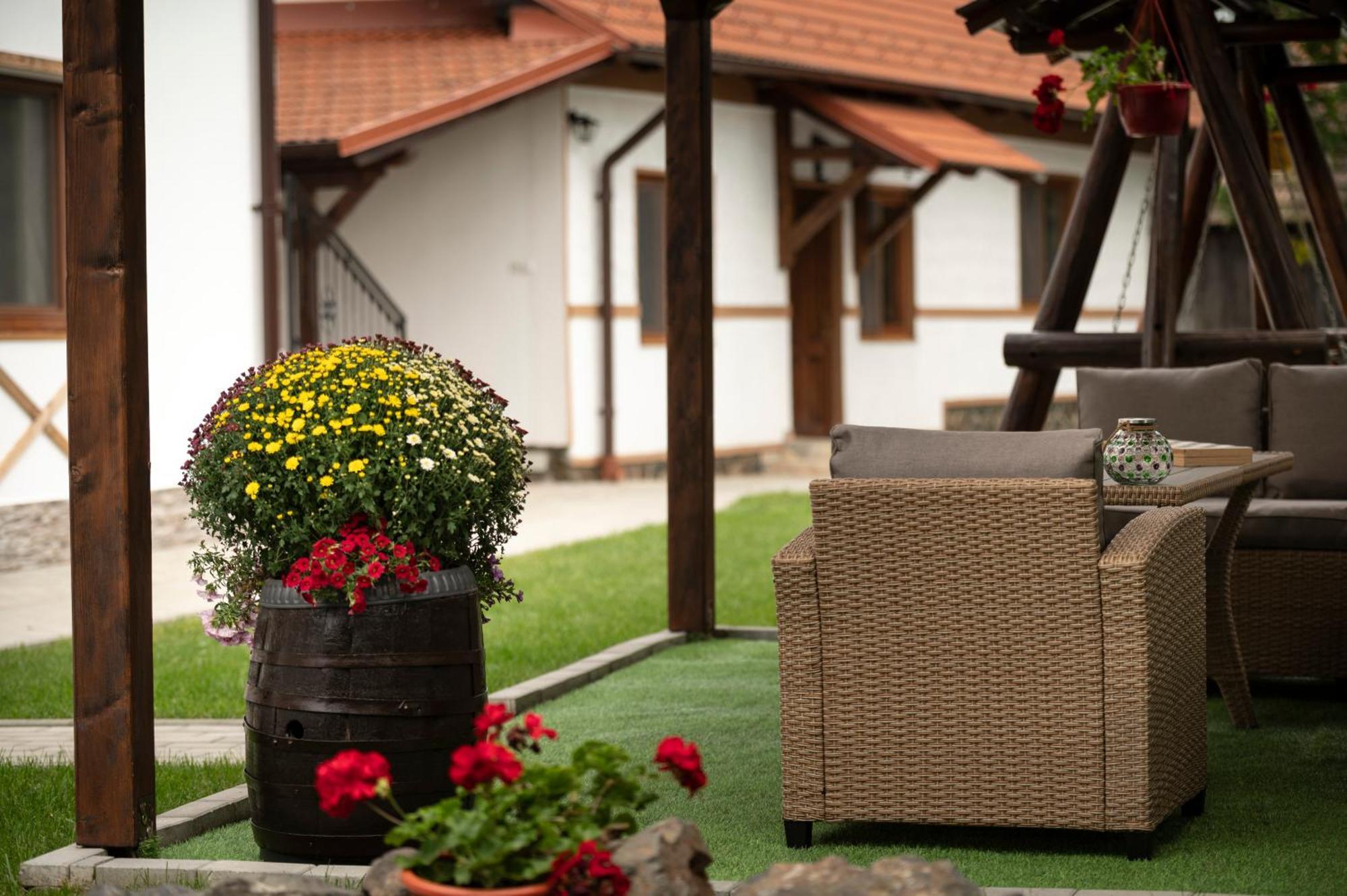 Hotel Magda Garden à Cîrţişoara Extérieur photo